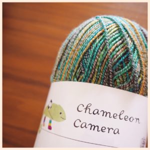 Chameleon Camera Summer（カメレオンカメラ　サマー）